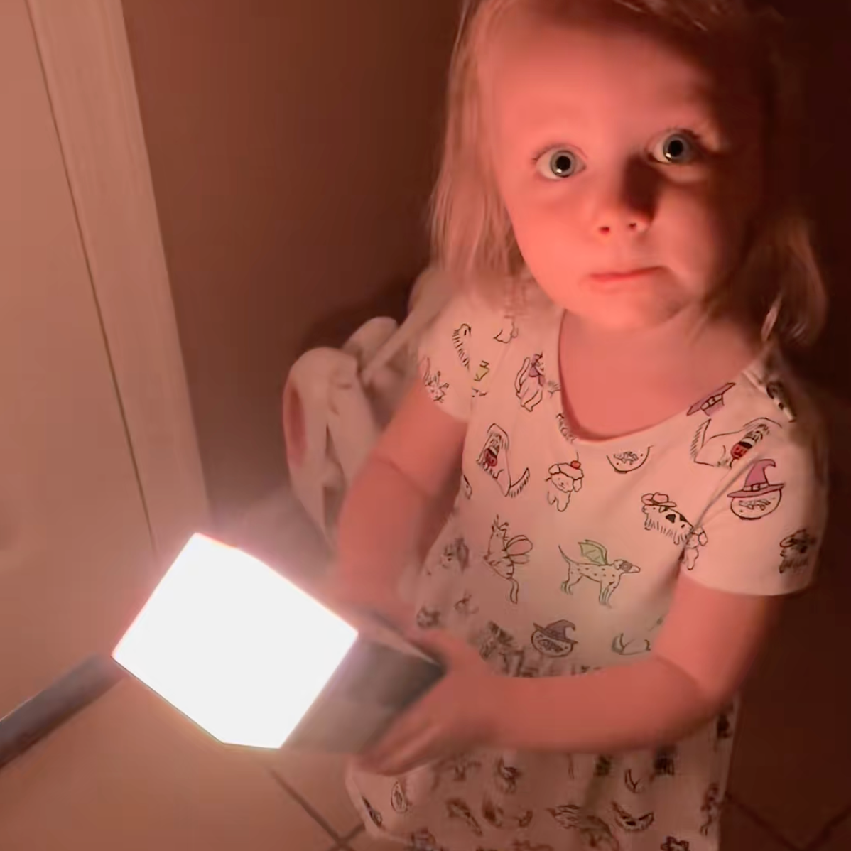 Pixel Torch –  från skärmen till verkligheten